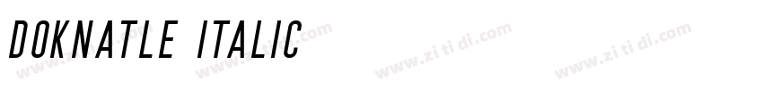Doknatle Italic字体转换
